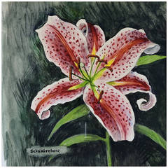Henry Schnakenberg Lily Watercolor Painting 3