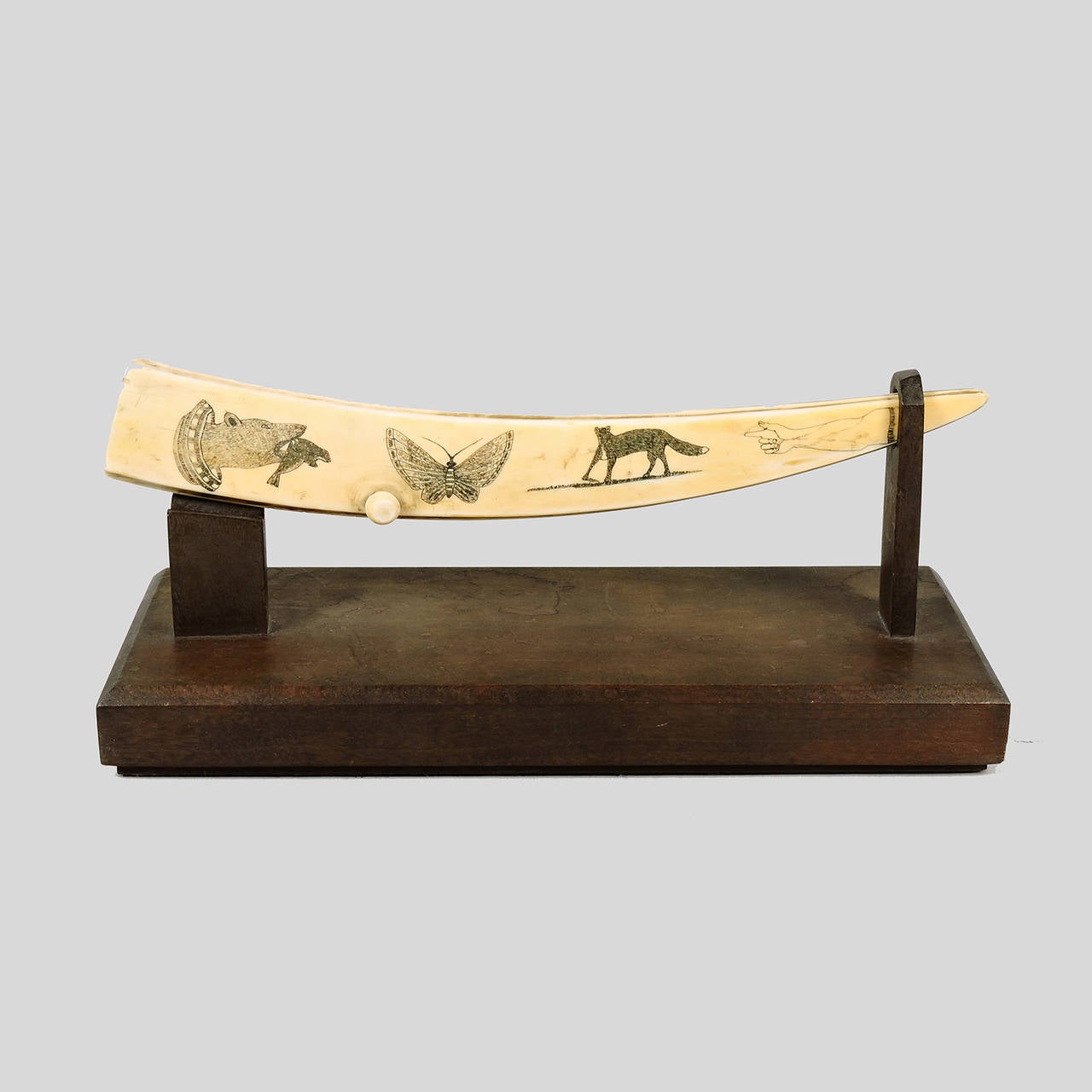 Rare Antique Inuit Walrus Tusk scrimshaw fashioned into a cribbage board and adorned with exceptional scrimshaw decoration including a bear, eagle, fox, butterfly, and pointing hand.  Includes wooden stand. 
Dimensions: 12 3/4 x 1 1/2 inches