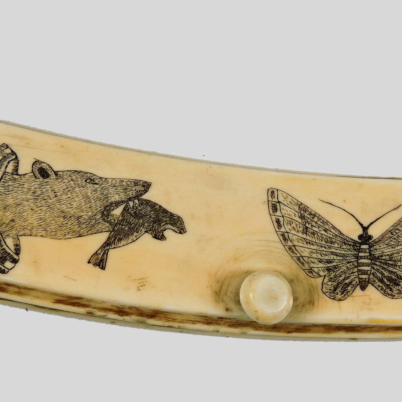antique walrus tusk cribbage board