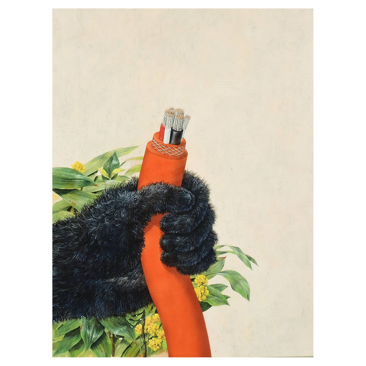Original Gorilla Hand Gouache Illustration for the Transatlantic Cable
