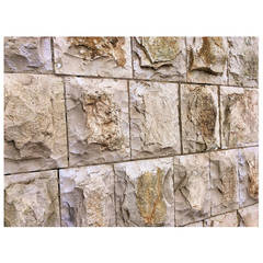 Antique French Coating in Recycled Limestone from 15th to 18th Century