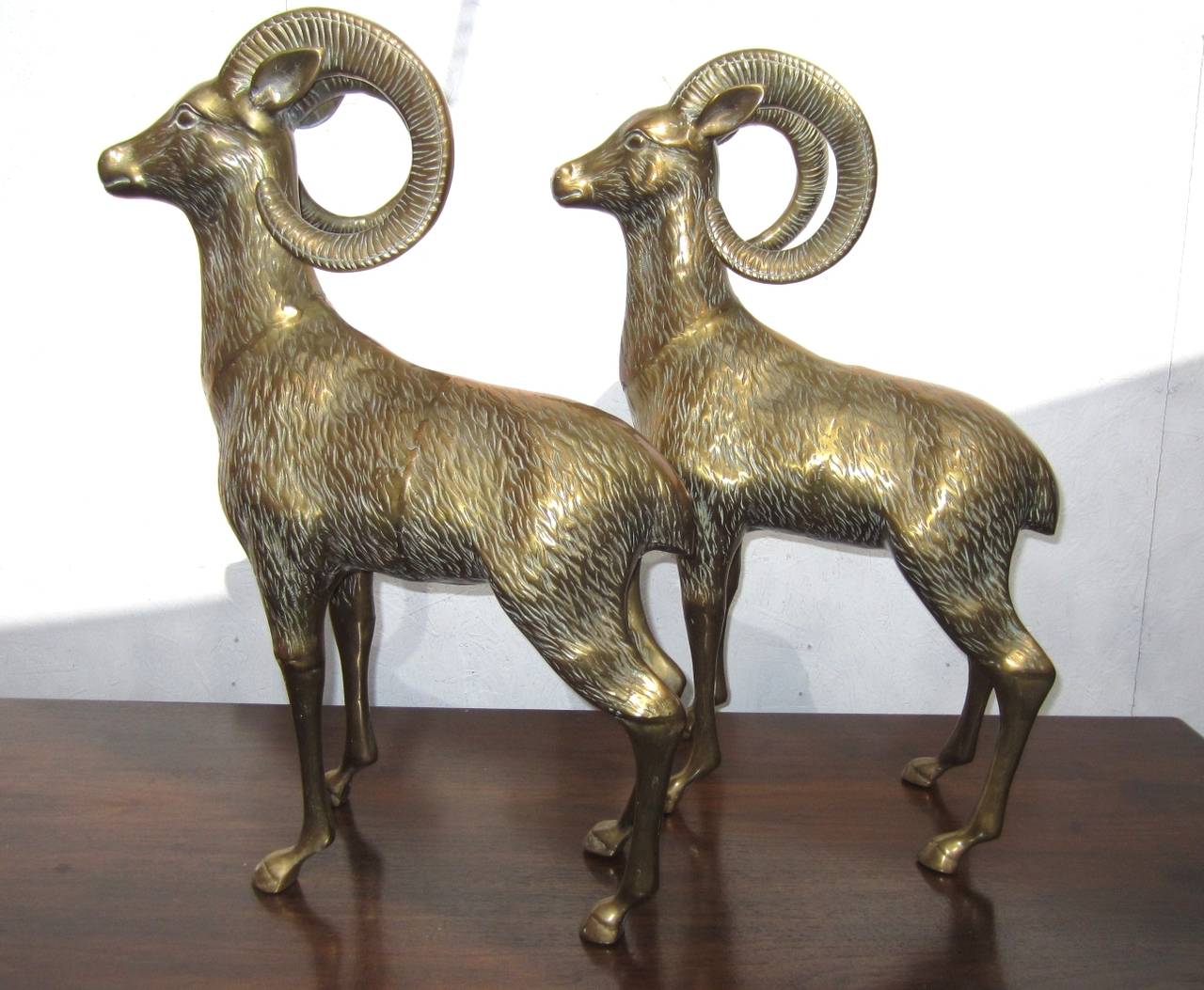 Magnificent pair of huge solid brass big horn ram floor sculptures. 
They stand 32