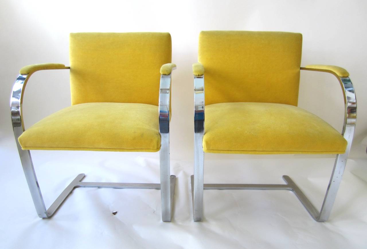 Iron Six 1960s Mies van der Rohe BRNO Dining Chairs in Yellow Mohair