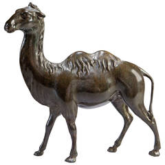 Late 19th Century Naturalistic Fashioned Spelter Sculpture of a Camel