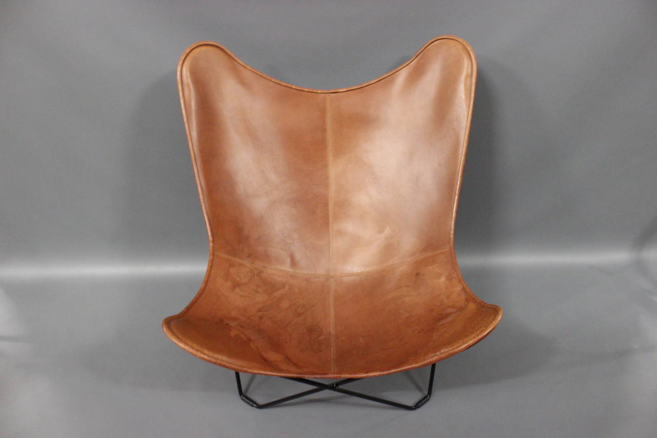 jorge ferrari hardoy butterfly chair