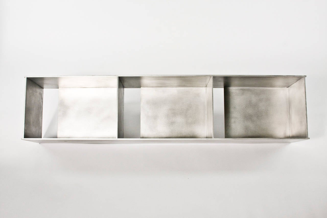 Wax-polished aluminum plate.
Edition of 8 + 2AP.
Measures: 51 x 11 x 11 H inches.
Please allow 6-8 weeks for delivery.