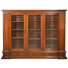 19th Century Grand Renaissance Revival Humidor and Display Case