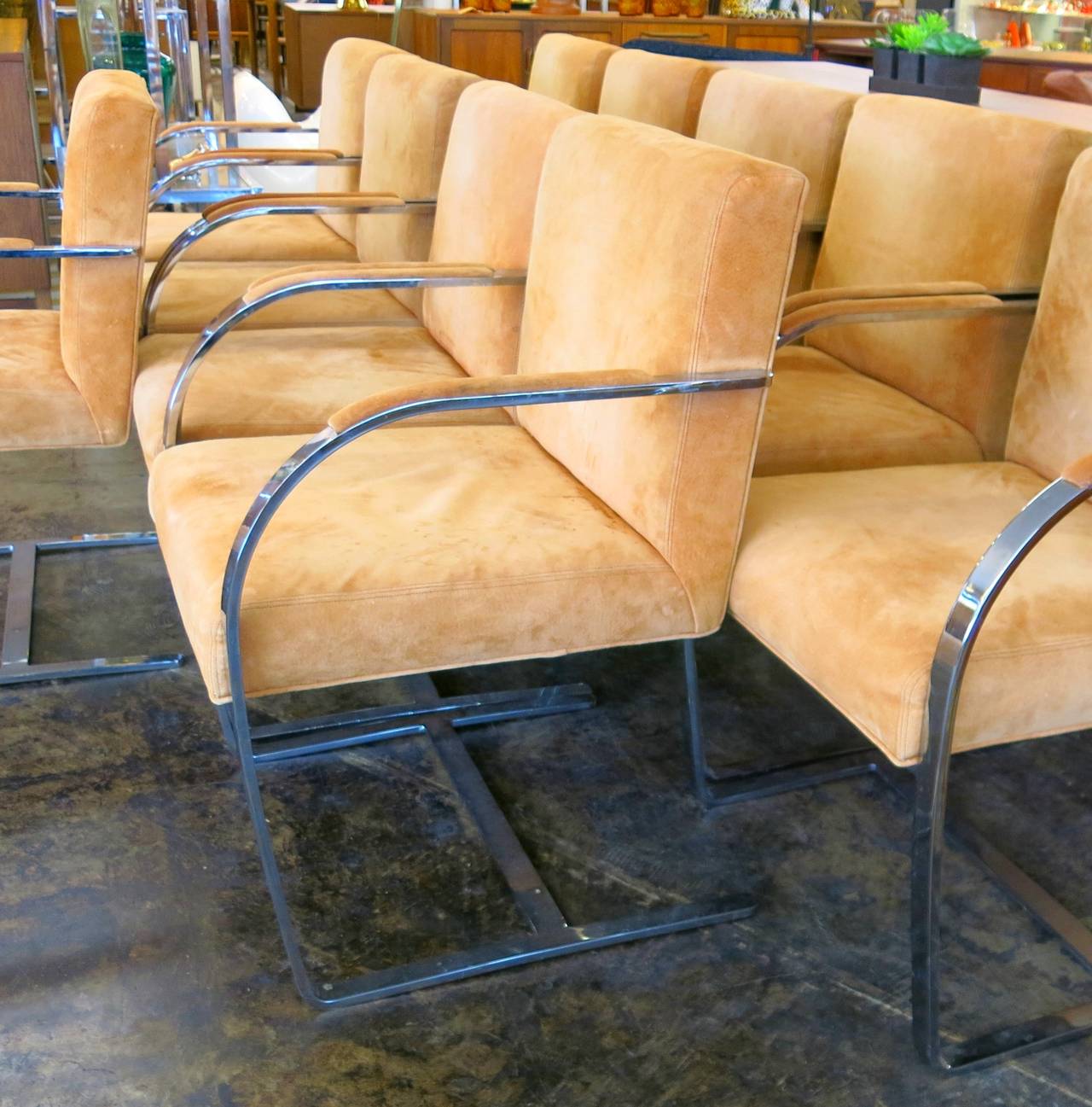 This set of ten Mid-Century Modern dining or conference chairs has beautiful tan suede upholstery and chromed steel frames. The set of ten is elegant and sturdy, five have small spots on the upholstery and five are in excellent condition. The set