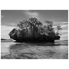 Sebastio Salgado, Baobabbäume auf einer Pilzinsel Fotografie