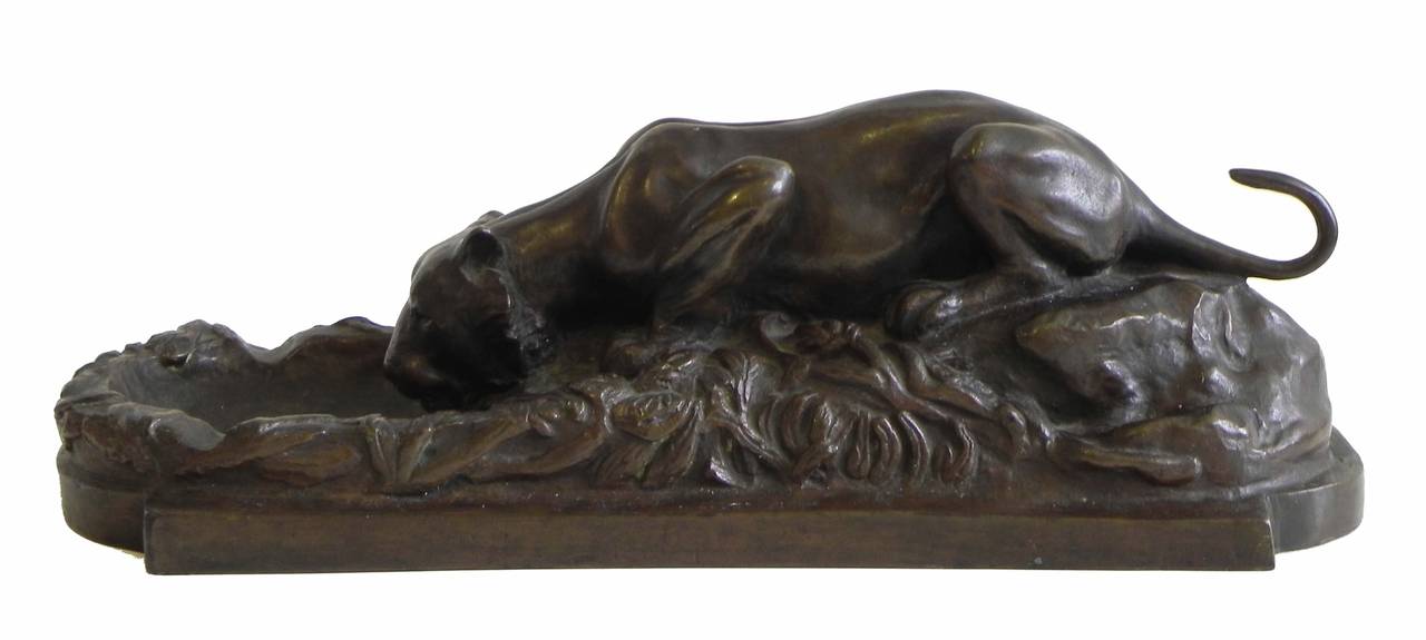 The bronze sculpture is of a wild puma on a foliage embankment drinking from a section that serves as a cigar tray and holder, all on a rectangular plinth with astragal ends. The signature of Madeleine Park is featured on the back with the Gorham