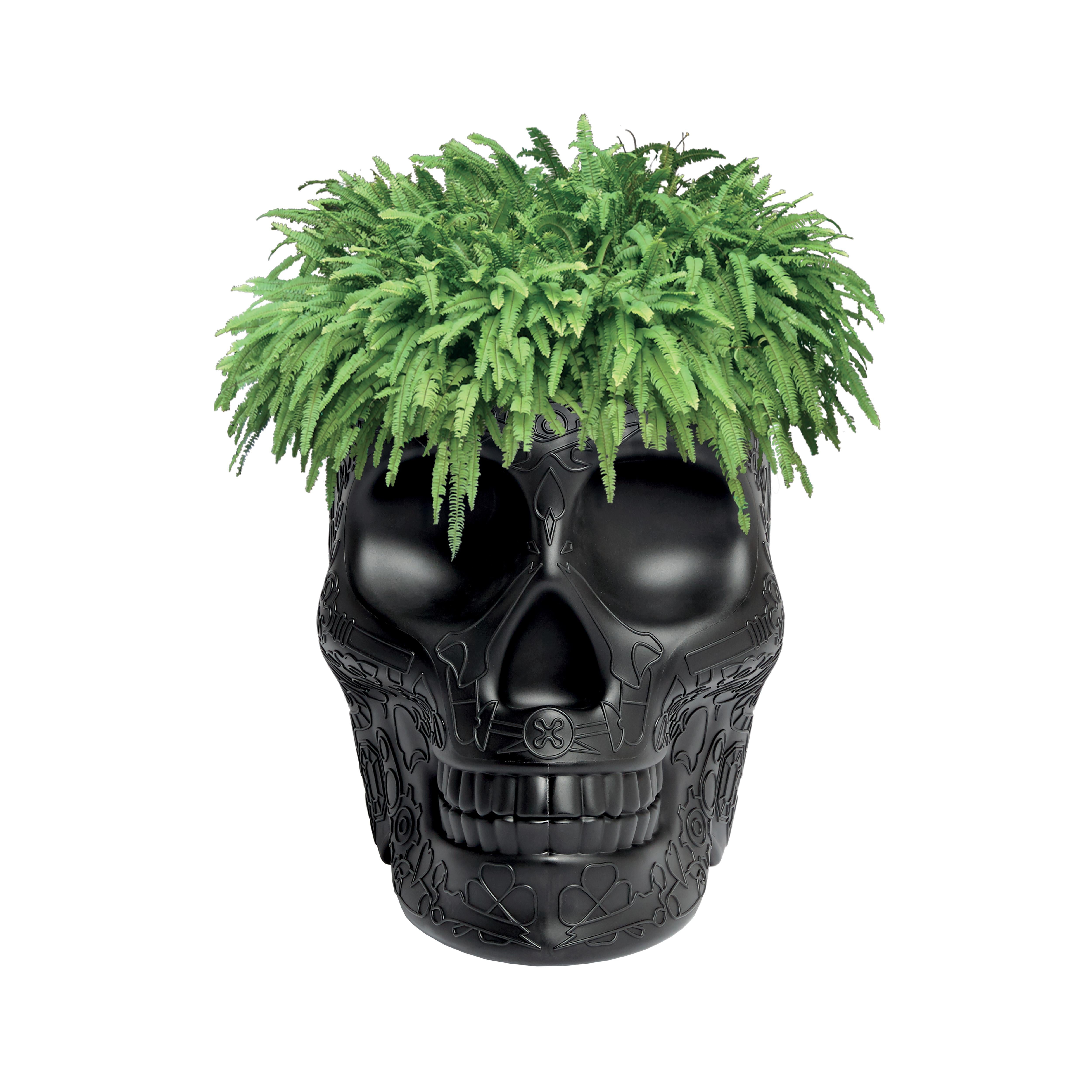 For Sale: Black Modern Skull Terracotta Plastic Planter or Champagne Cooler by Studio Job 2