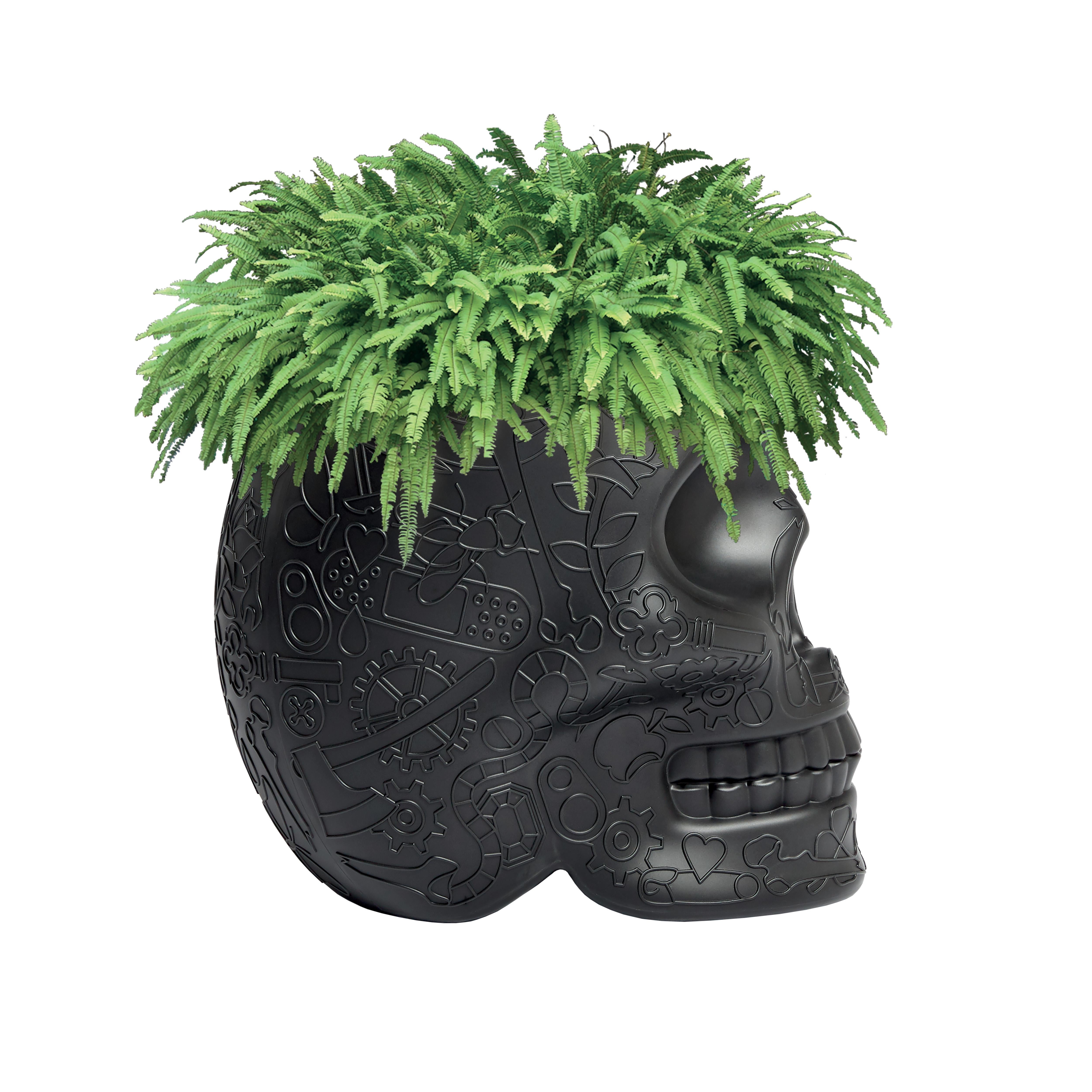 For Sale: Black Modern Skull Terracotta Plastic Planter or Champagne Cooler by Studio Job 3