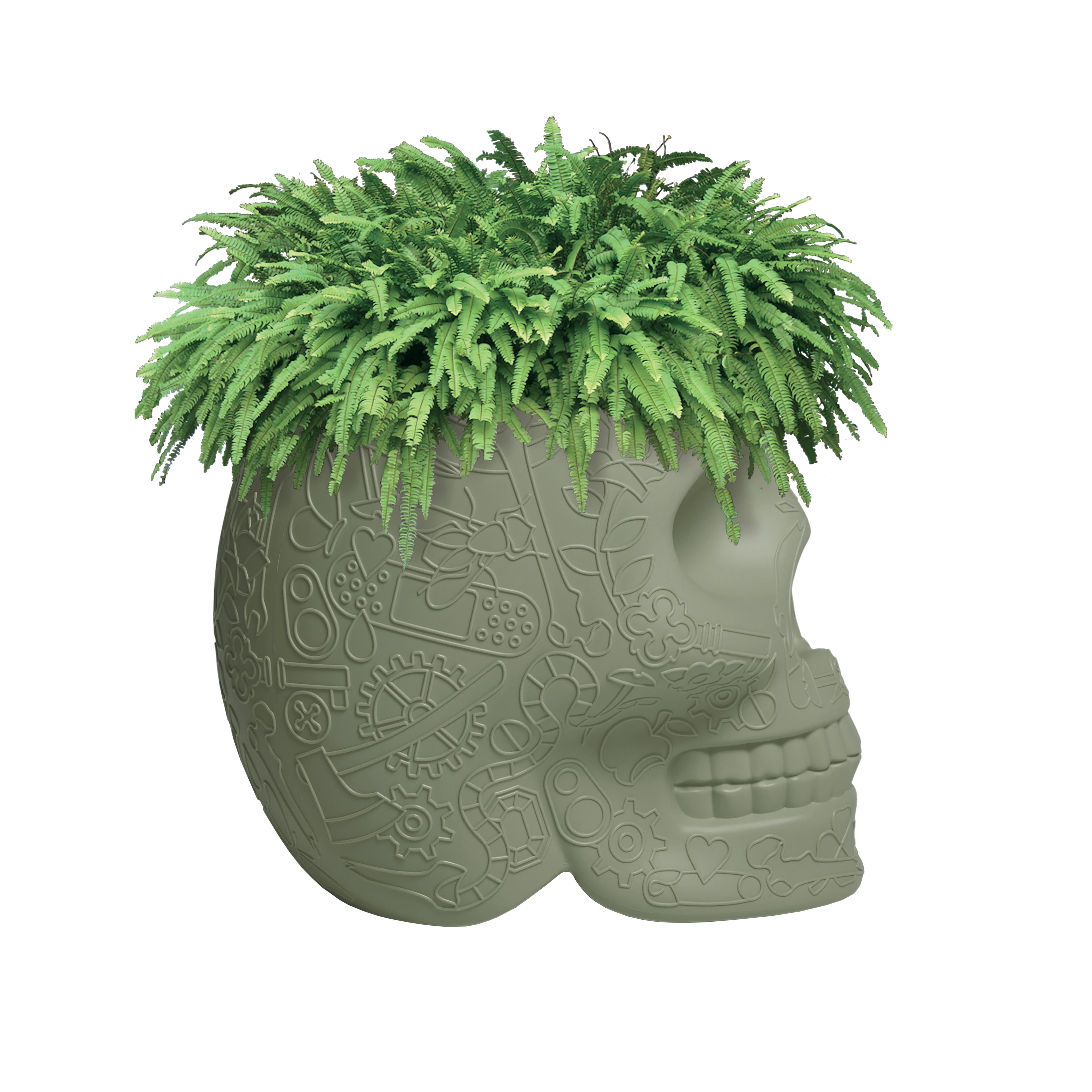 For Sale: Green (Balsam Green) Modern Skull Terracotta Plastic Planter or Champagne Cooler by Studio Job 3