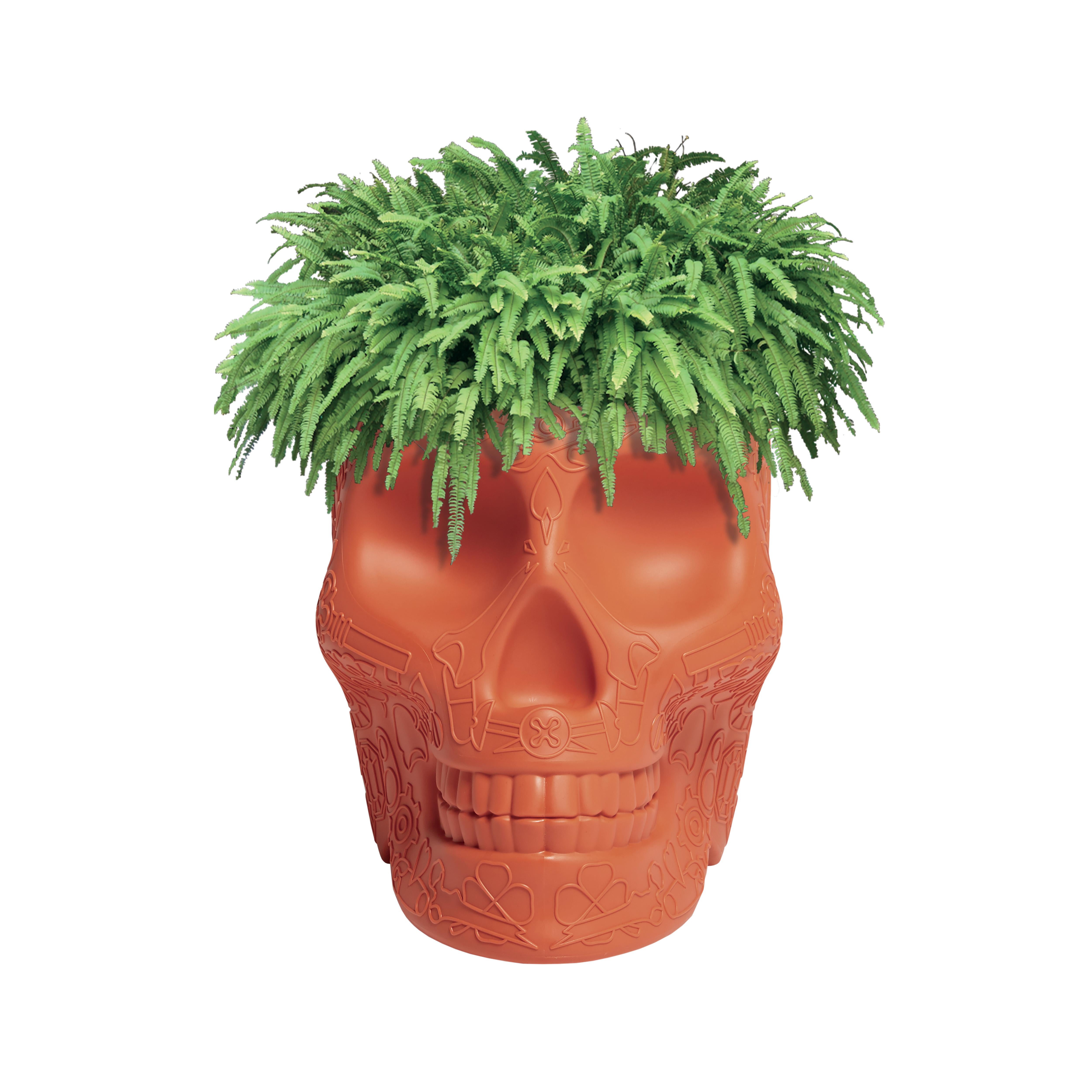 For Sale: Orange (Terracotta) Modern Skull Terracotta Plastic Planter or Champagne Cooler by Studio Job 4