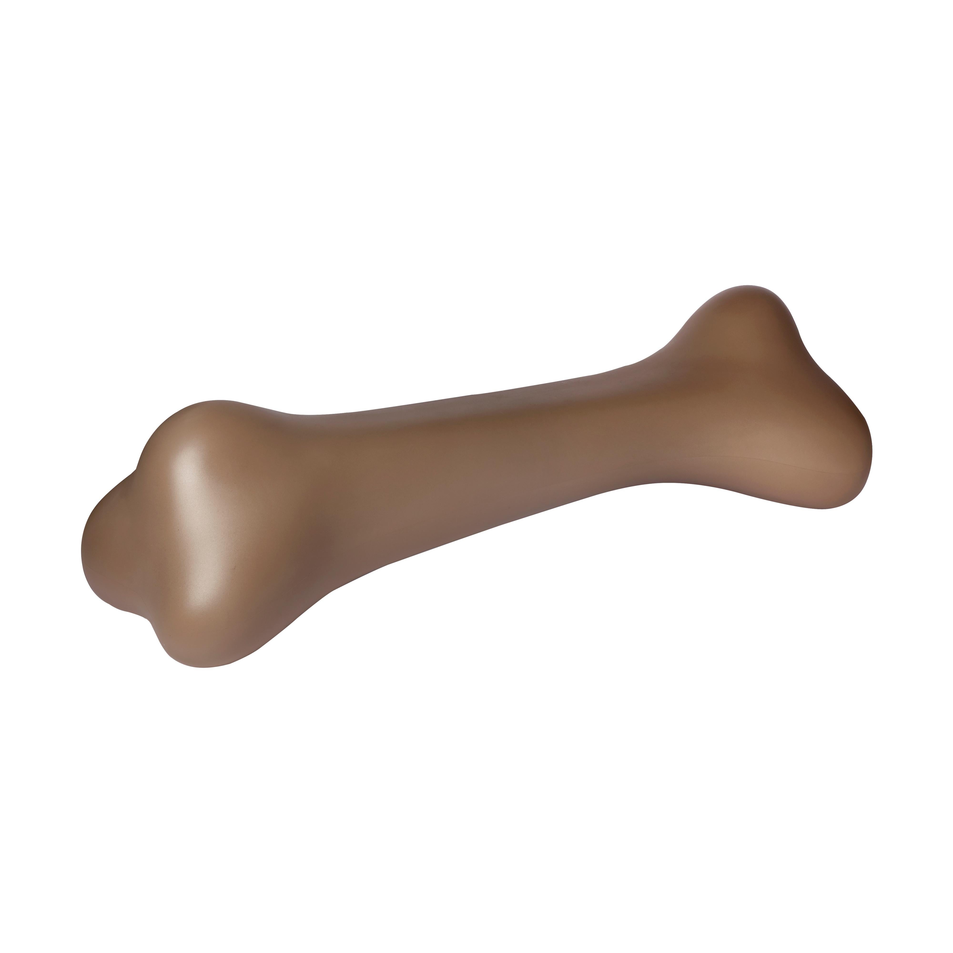 En vente : Brown (Brown Sugar) Sculpture de jardin moderne en os de dinosaur blanc ou marron ou de chien par Da Sugasawa 3