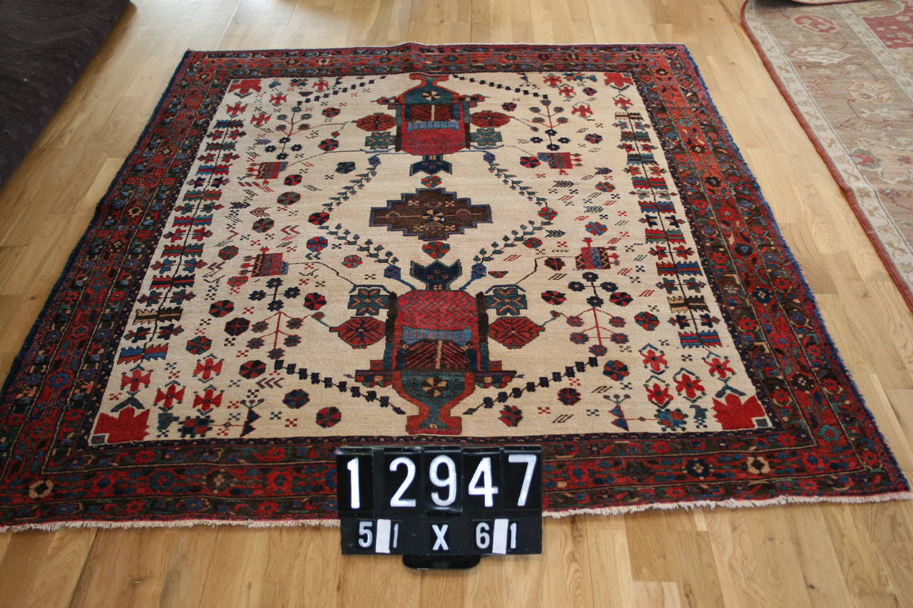 This rug is the most unique example of South Persian tribal weaving. Afshari weavers of the 19th and early 20th century were in direct competition with the Kashgai weavers to produce the highest quality and most decorative rugs. The white field