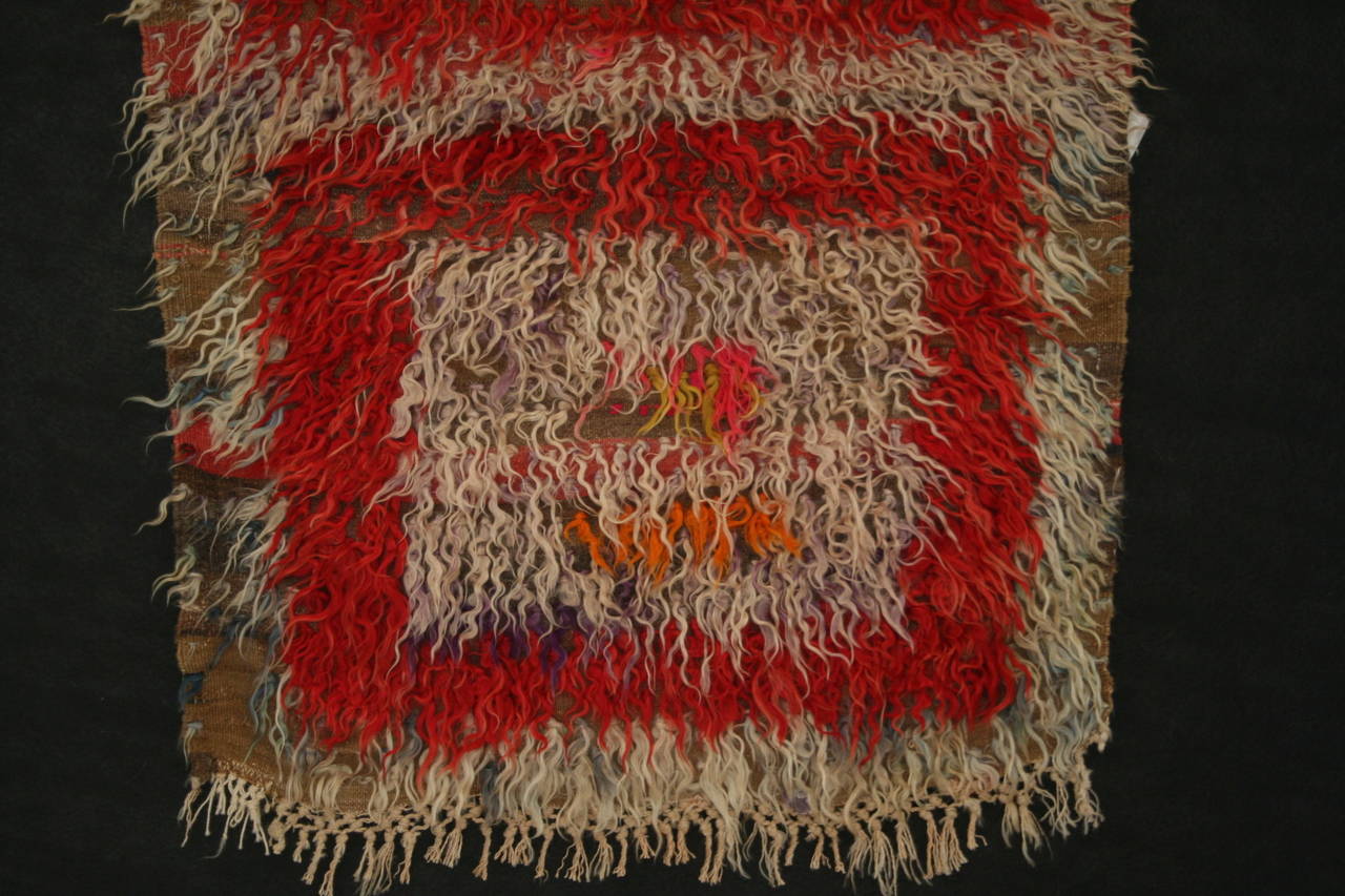 Vintage Turkish Tulus