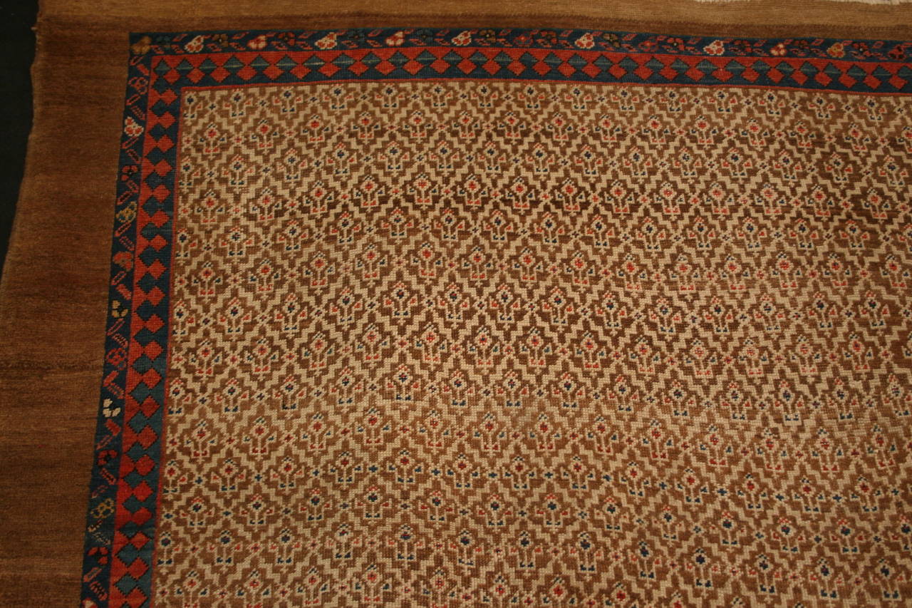 Late 19th Century Very Rare Antique Camel Hair Sarab with Lattice Design Field For Sale