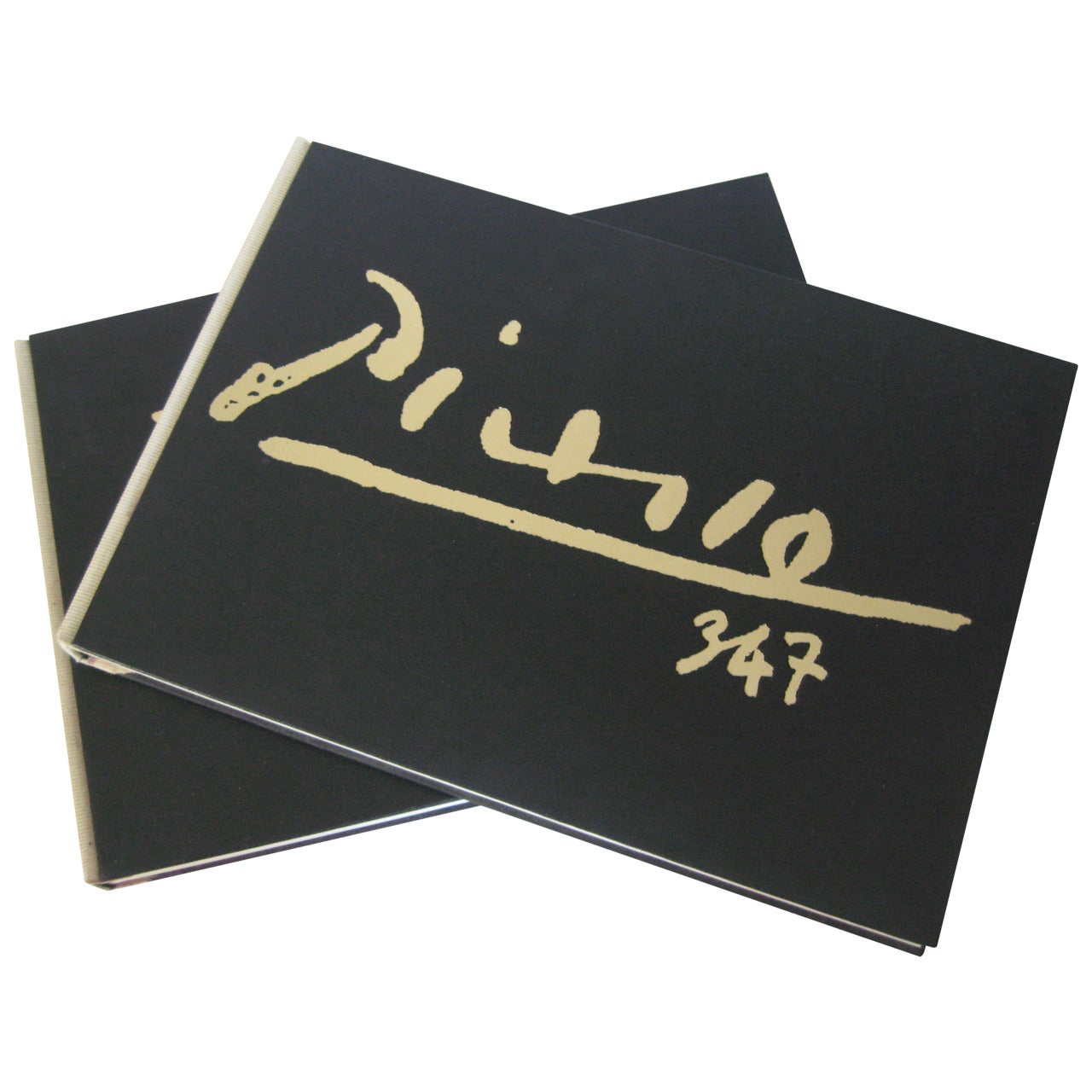 Picasso 347 Double Volume Catalog
