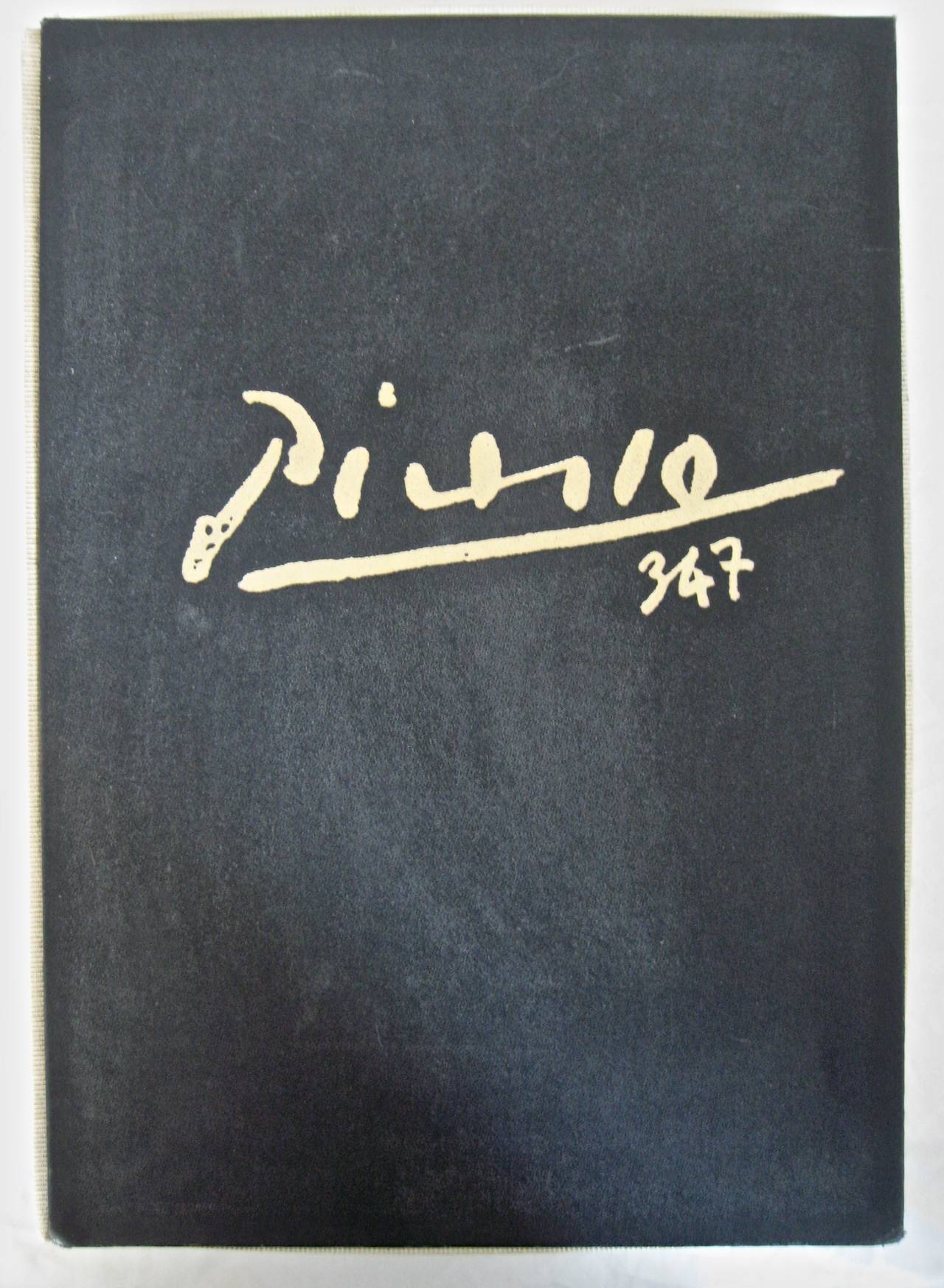 Picasso 347 Double Volume Catalog at 1stdibs