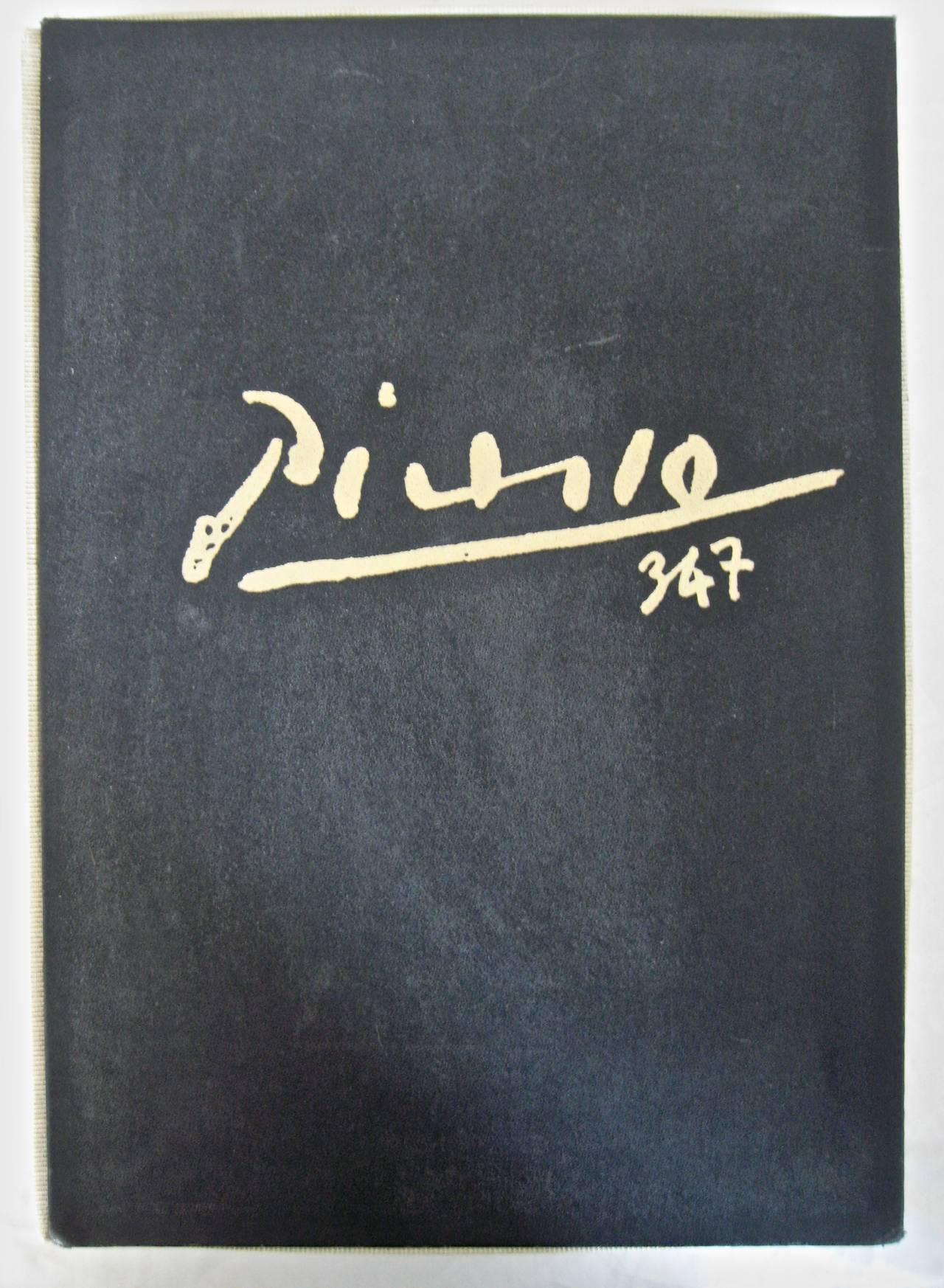 Picasso 347 Double Volume Catalog