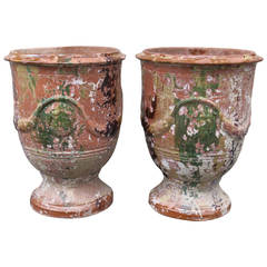 Pair of 19th Century Boisset Anduze Pots