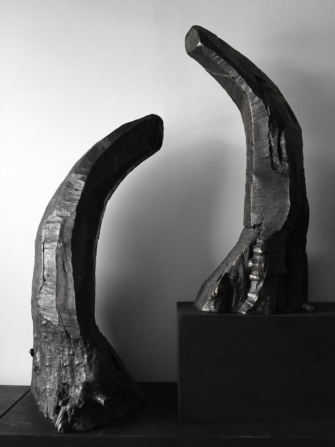Contemporary Bronze Cast Boxelder Wood Sculptures by Phoebe Knapp For Sale