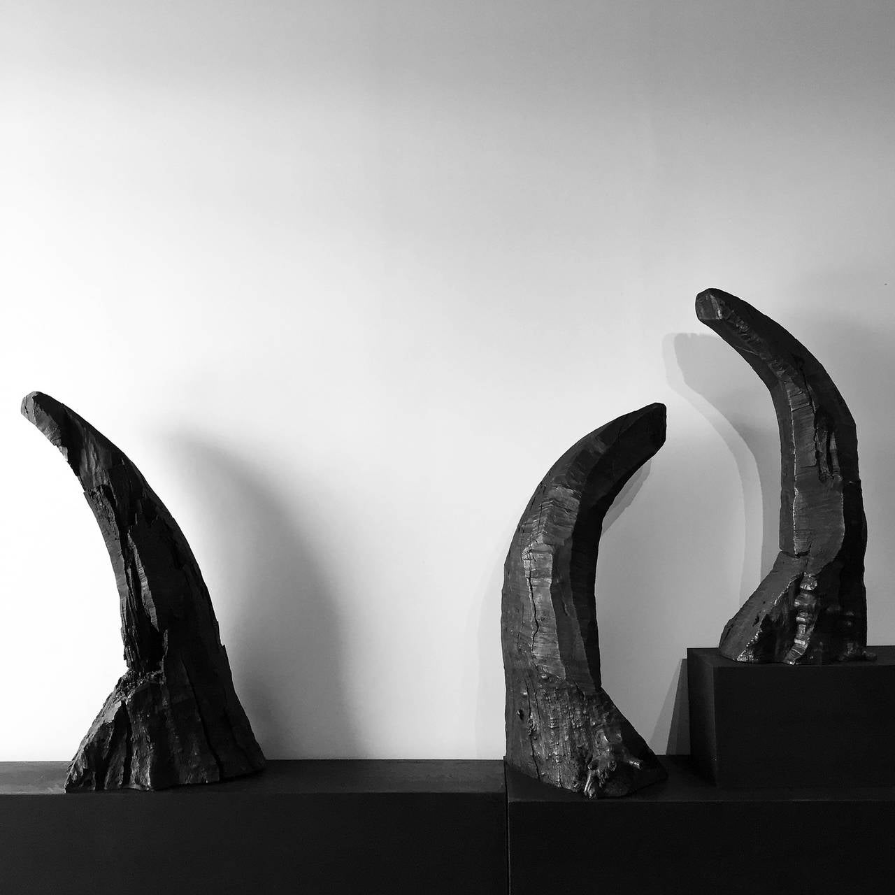 Bronze Cast Boxelder Wood Sculptures by Phoebe Knapp For Sale 1