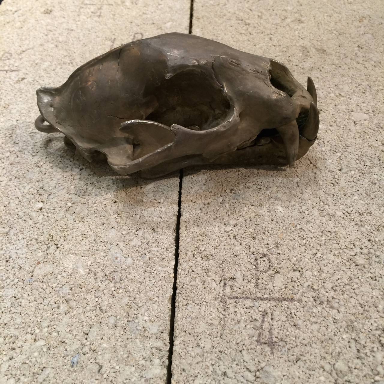 Indonesian Leopard Skull in Acid Silver by Parts of Four For Sale