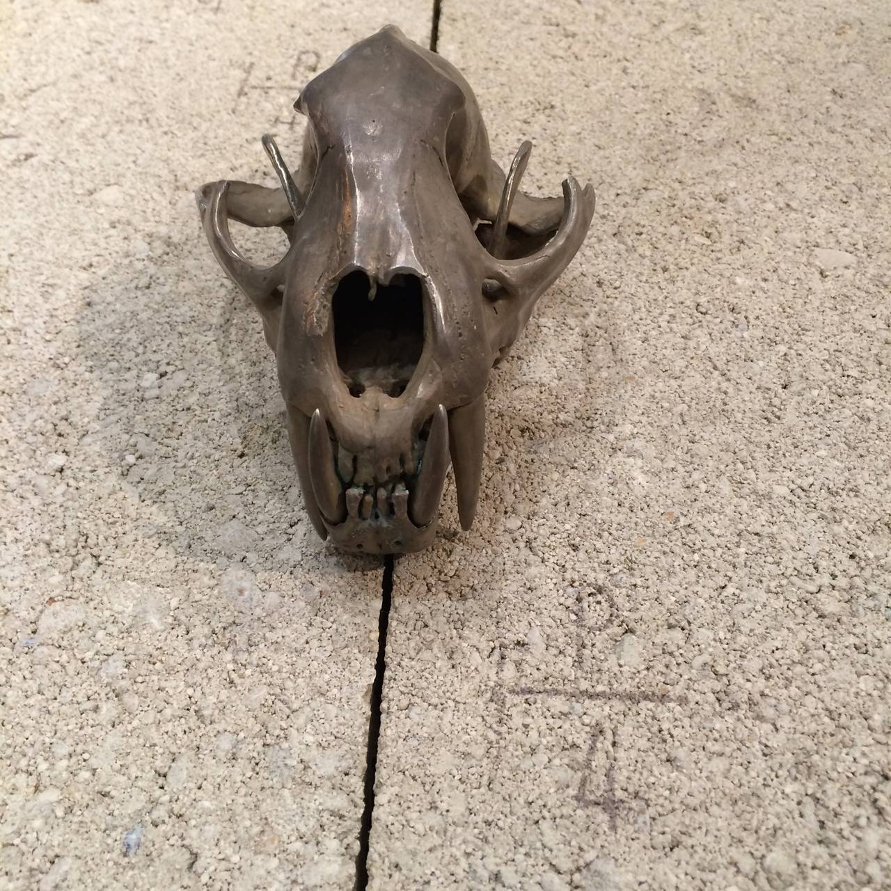 Leopard Skull in Acid Silver by Parts of Four In Excellent Condition For Sale In Chicago, IL