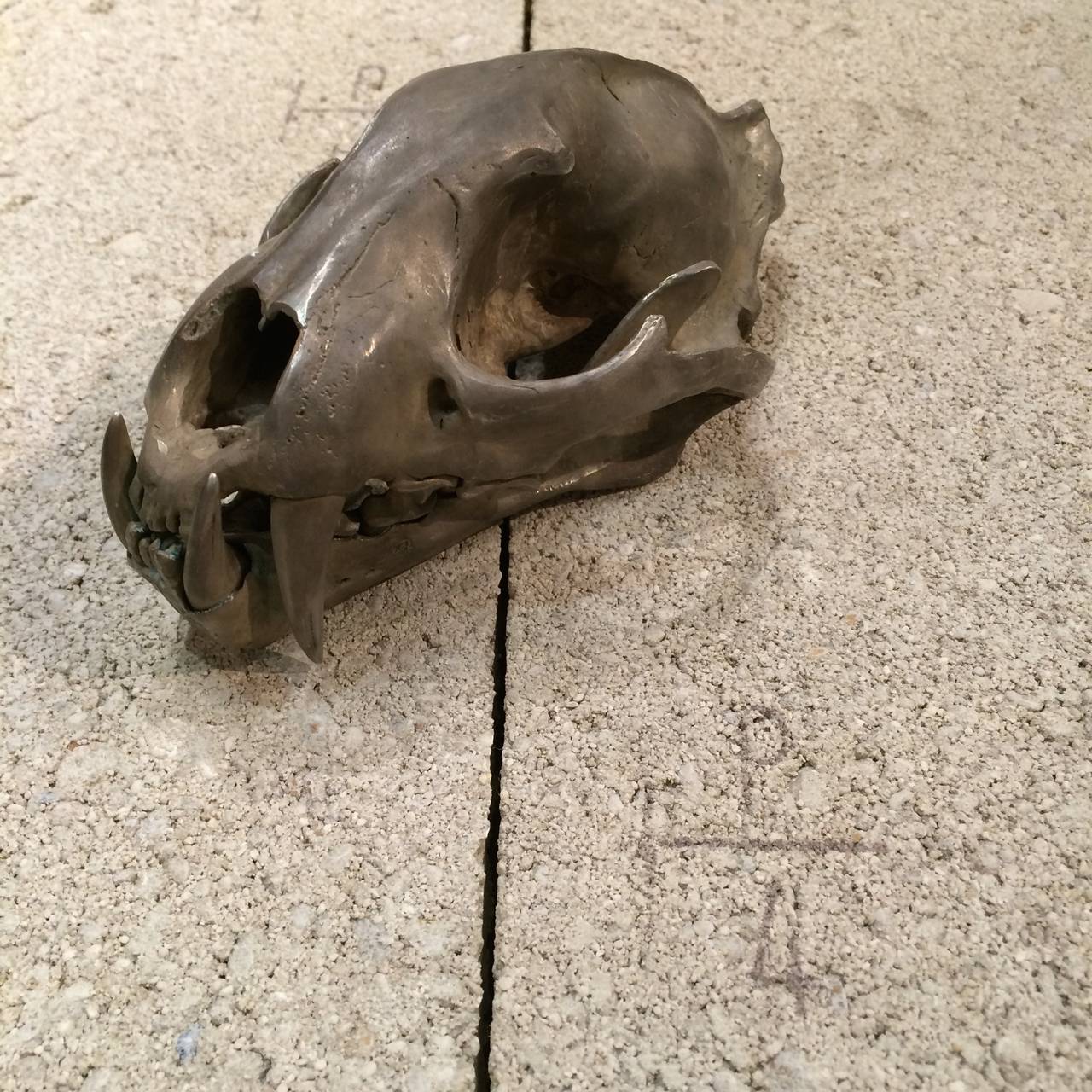 Cast Leopard Skull in Acid Silver by Parts of Four For Sale