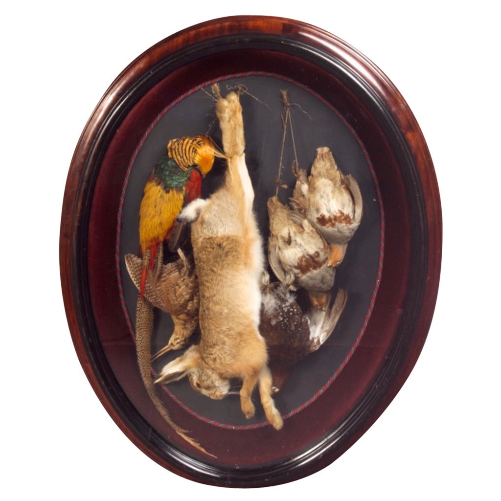 19th Century Victorian Taxidermy For Sale