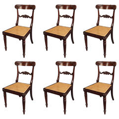 19th Century Set of Six William IV Dining Chairs in Rosewood