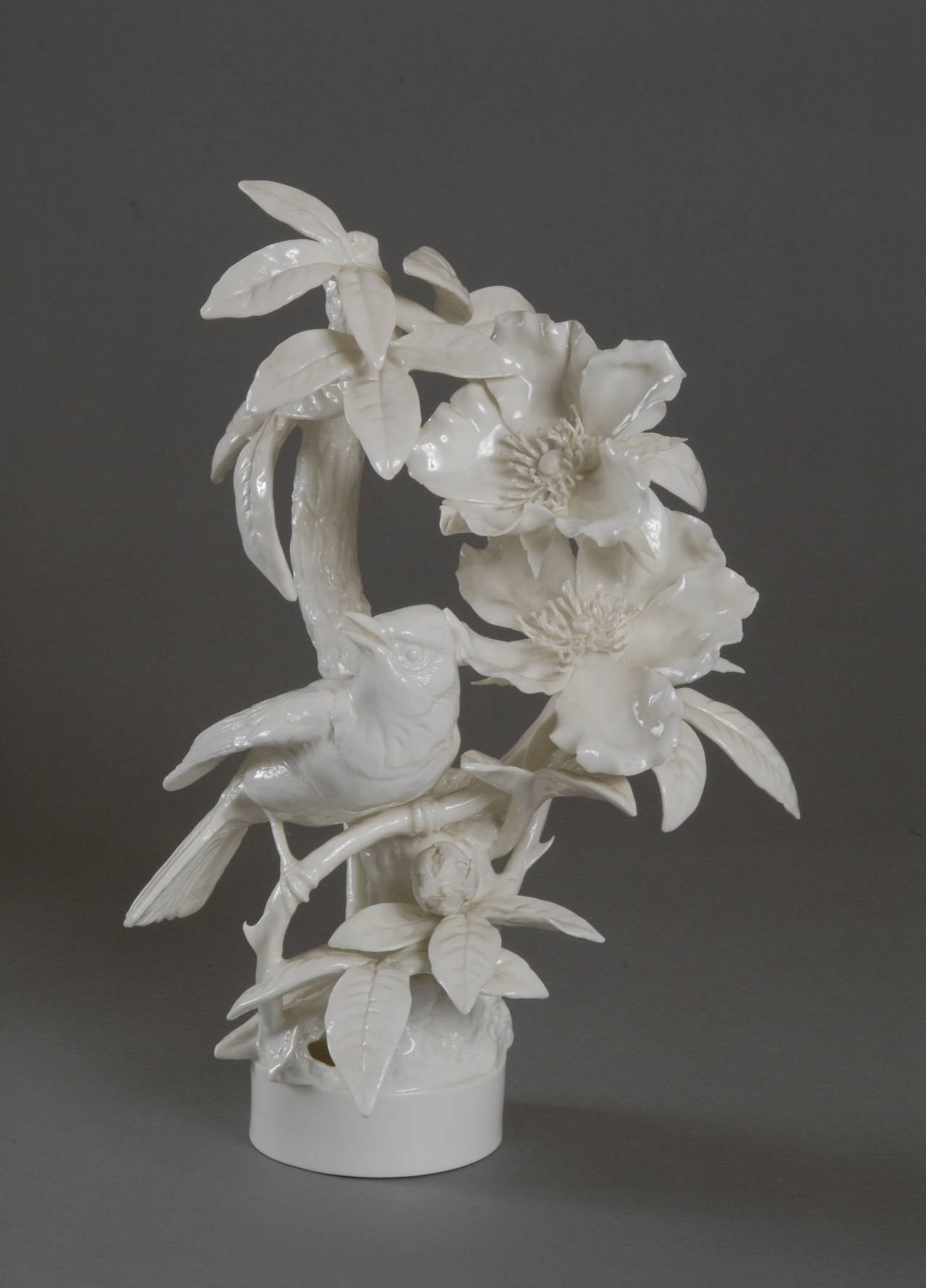 dorothy doughty birds for sale