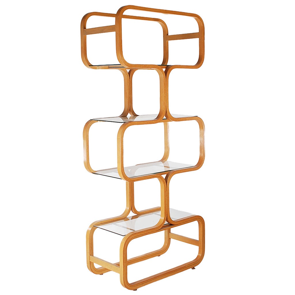 Danish Modern Teak and Glass Etagere