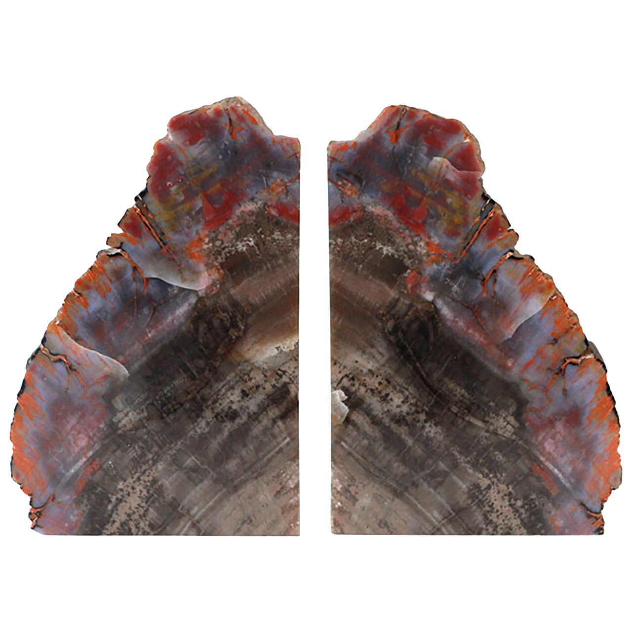 Prehistoric Petrified Wood Bookends