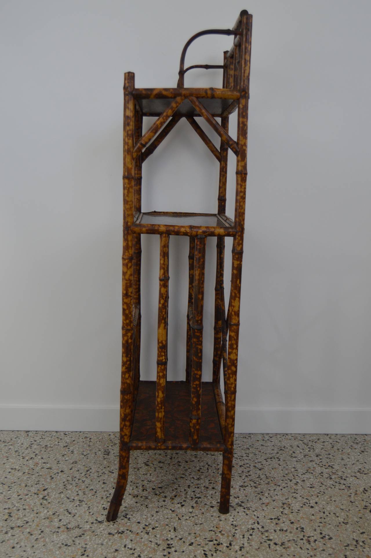 British Antique English Tortoise-Bamboo Bookcase with Magazine Rack