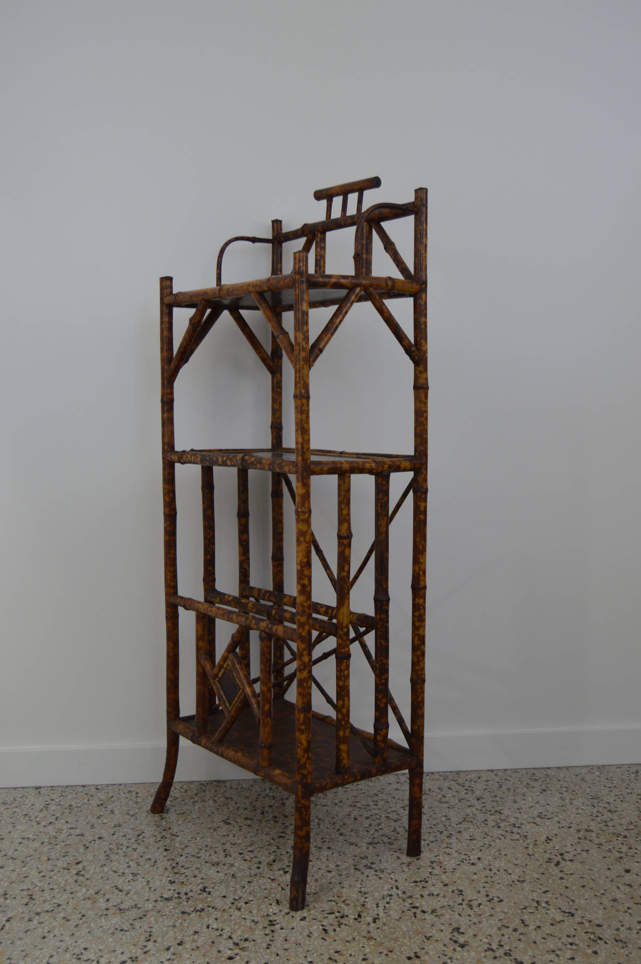 Aesthetic Movement Antique English Tortoise-Bamboo Bookcase with Magazine Rack