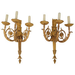 Pair of Louis XIV Style Three-Arm Bronze Dore Wall Sconces:  19th Century