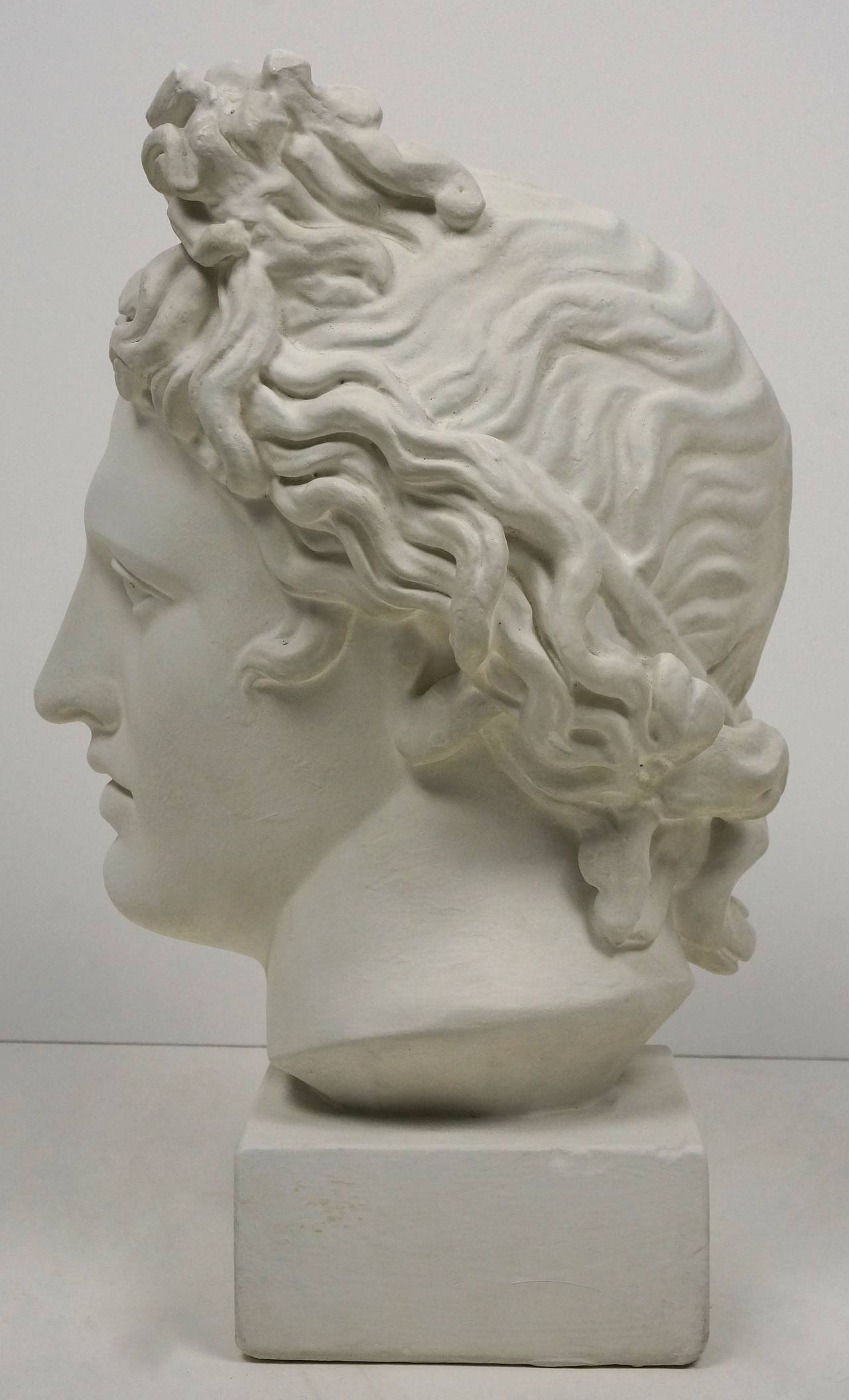 Plaster Cast of the Apollo, Italian, Late 19th Century to Early 20th Century In Excellent Condition In West Palm Beach, FL