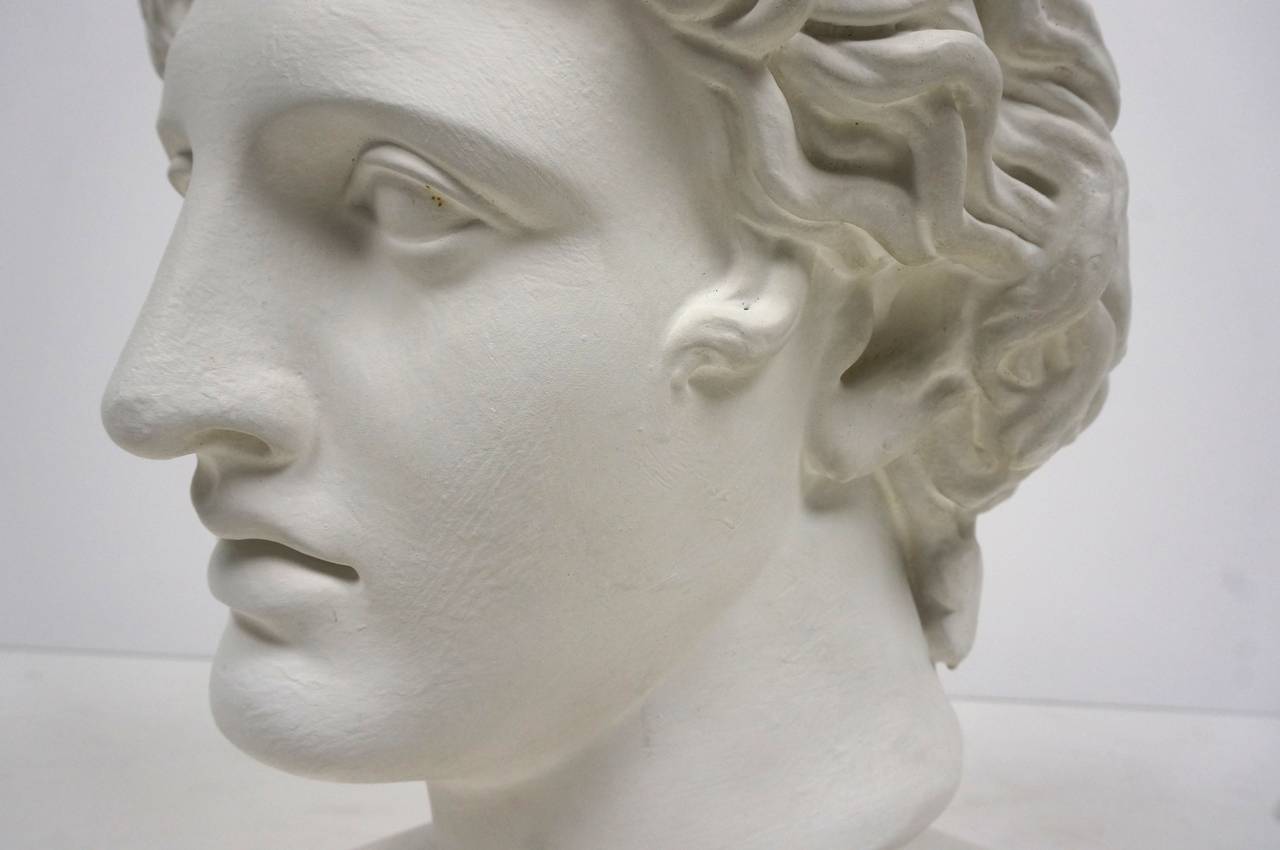 Plaster Cast of the Apollo, Italian, Late 19th Century to Early 20th Century 1