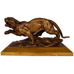Les Animalier Bronze of a Crouching Panther, Hans Muller, Circa 1900