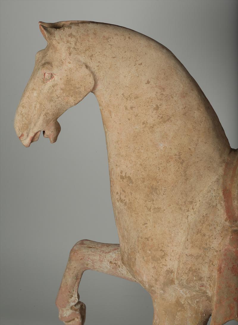Tang Dynasty Prancing, Painted Terracotta Pottery Horse In Good Condition In South Burlington, VT