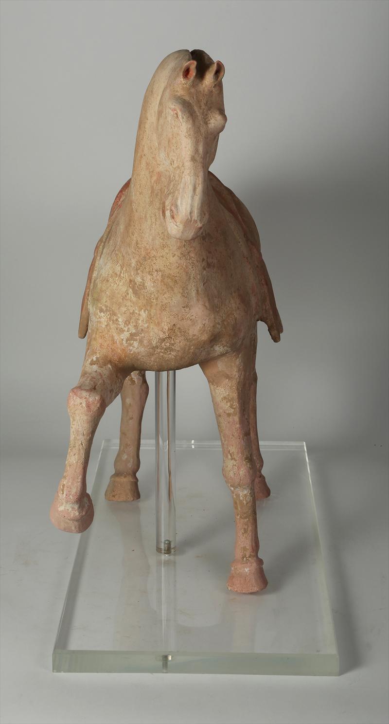 Asian Tang Dynasty Prancing, Painted Terracotta Pottery Horse