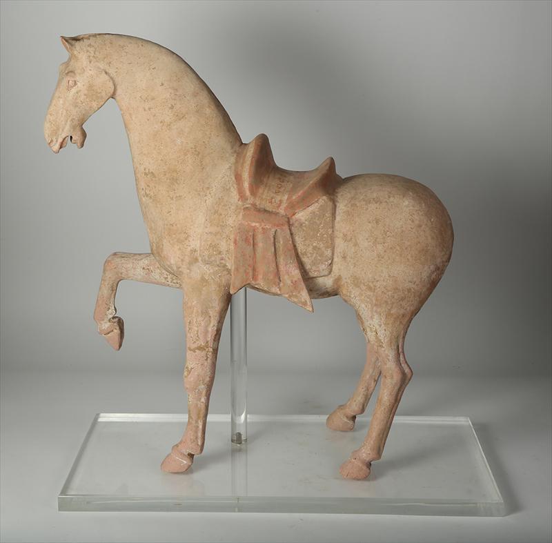 China, a prancing painted pottery horse, terracotta, Tang dynasty (618 CE- 907 CE)  The vigorous and powerful steed in prancing mode with pricked ears, delineated mane, well defined saddle and saddle ornament, eyes, nose, cropped tail, open jaw with