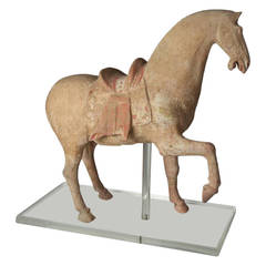 Antique Tang Dynasty Prancing, Painted Terracotta Pottery Horse