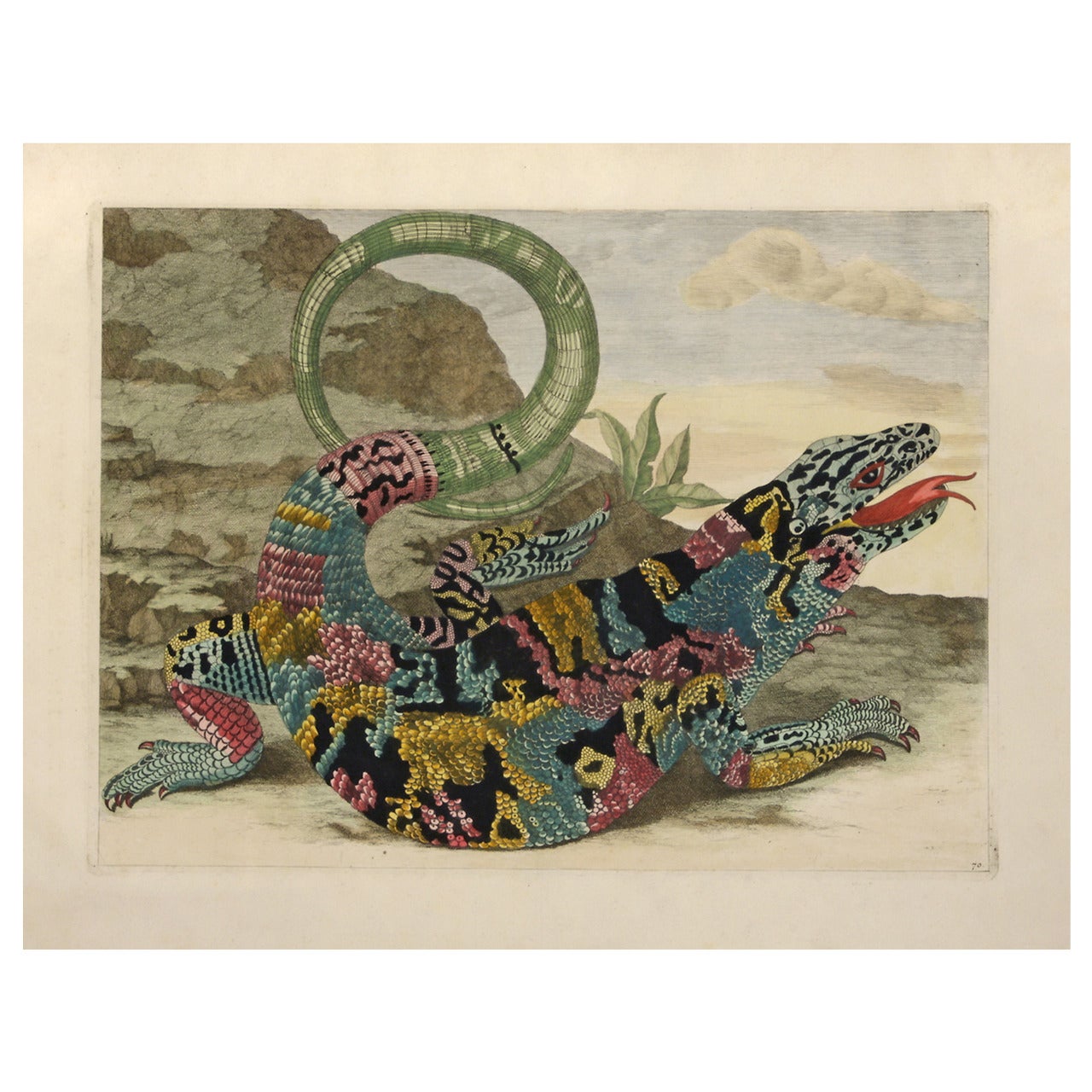 Lizard, 1719 For Sale