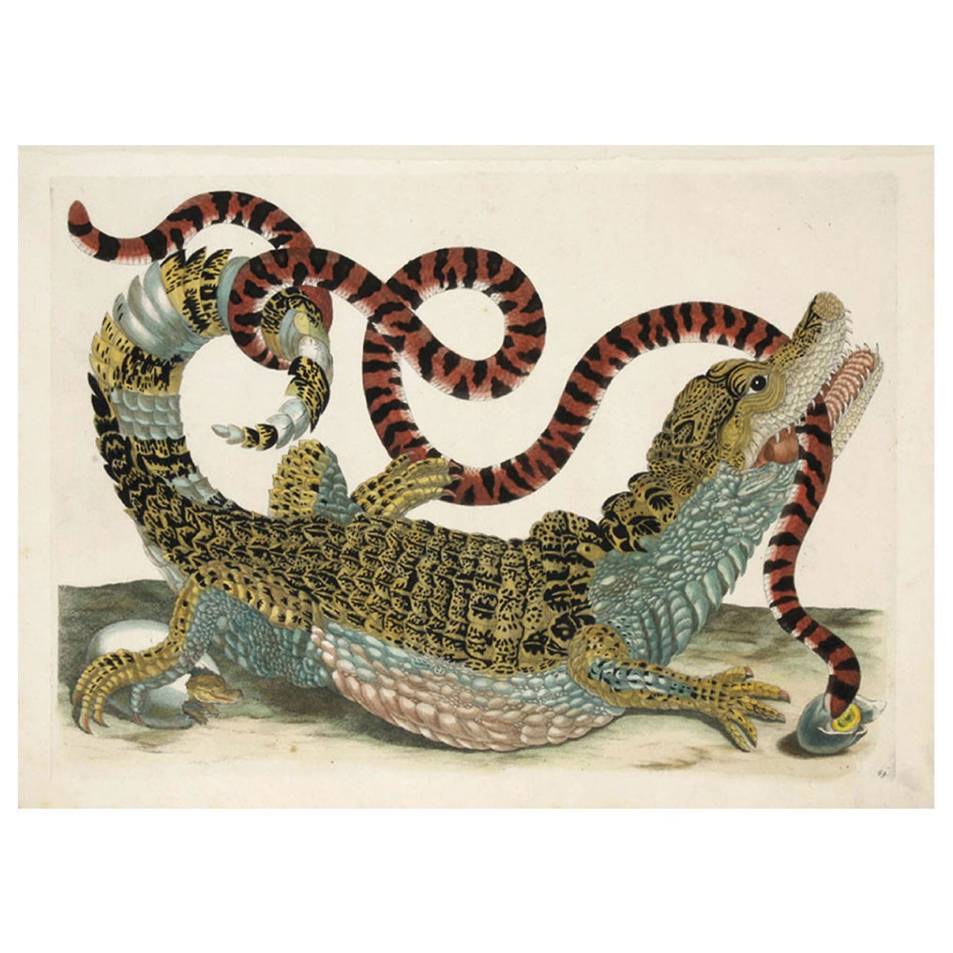 Caiman and Snake, 1719 For Sale