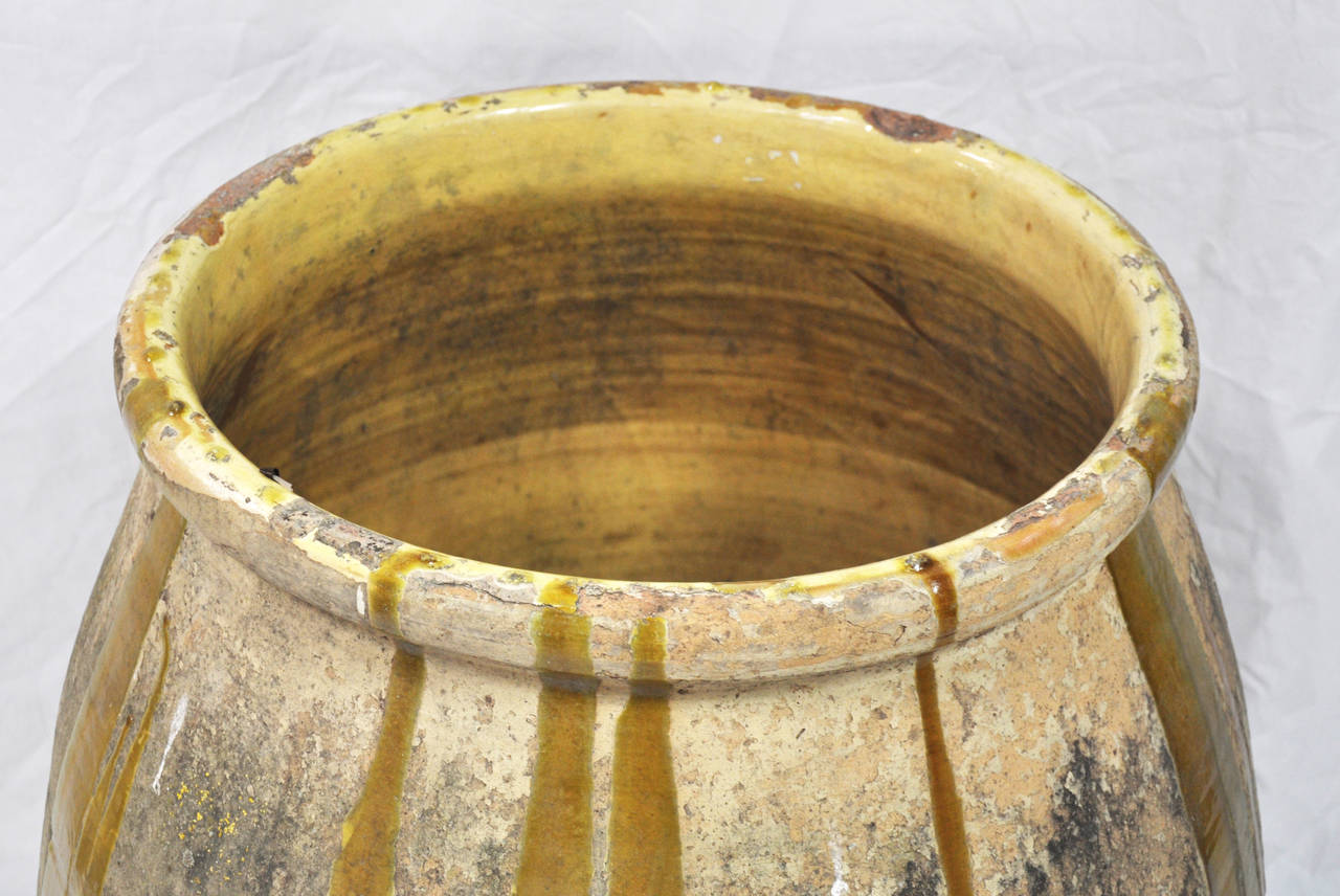 Glazed 19th Century French 'Biot' Olive Oil Pot