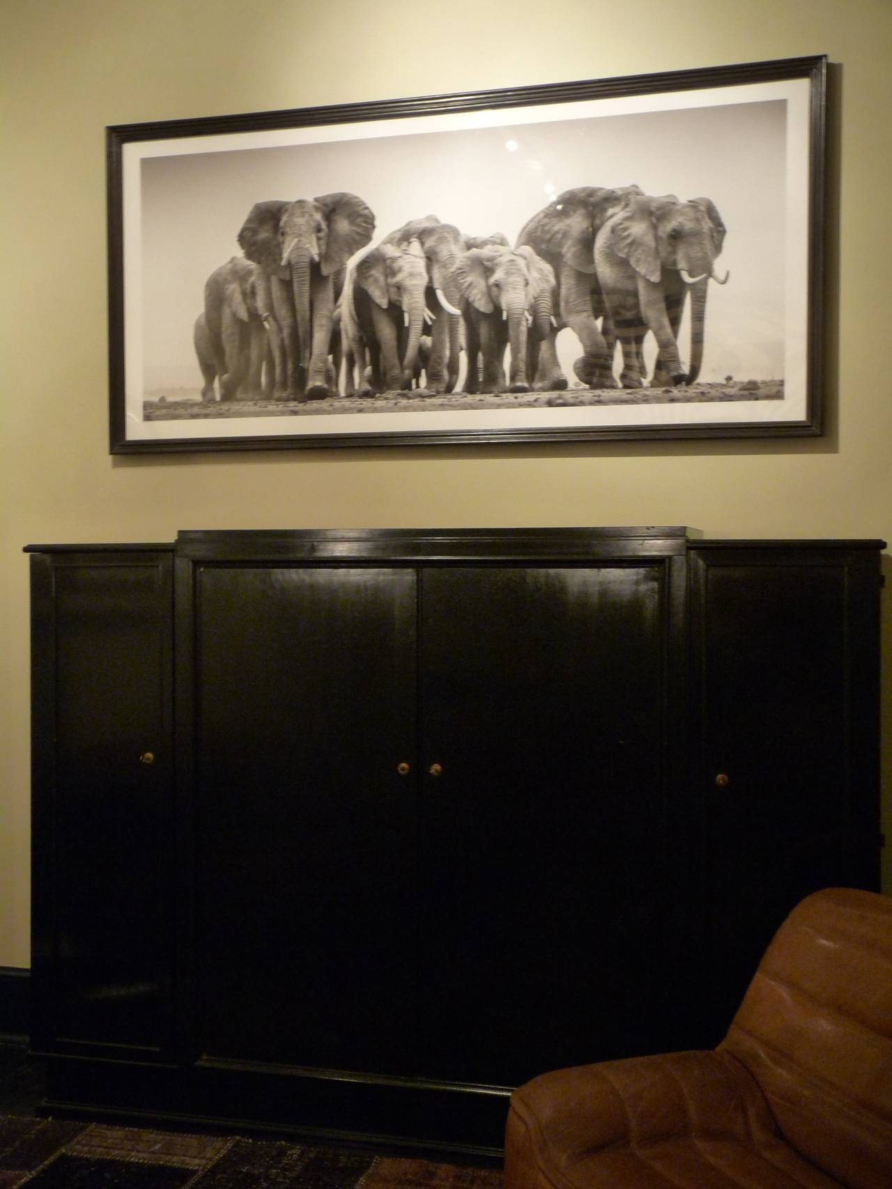 Elephants Advancing Panoramic Photograph